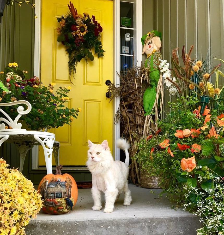Yellow Door Bed And Breakfast Fort Erie Εξωτερικό φωτογραφία