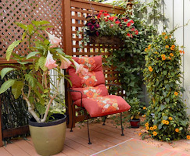 Yellow Door Bed And Breakfast Fort Erie Εξωτερικό φωτογραφία